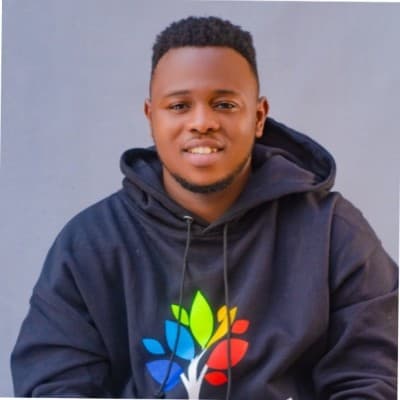 Ezeugwu Romanus Chukwuemeka - Senior Software Engineer (Frontend) at Qubic